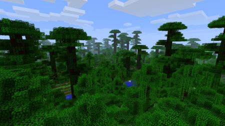 Minecraft jungle